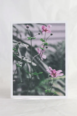 Crushes - Greeting Card, Wildflowers