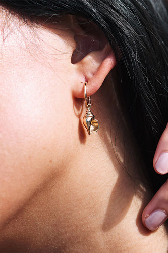 Meadowlark - Conch Signature Hoops, Gold Plated
