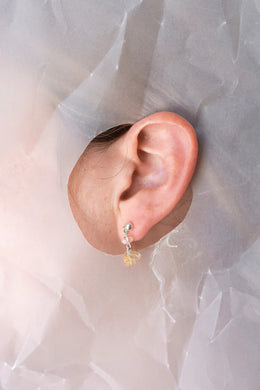 Crushes - Gemstone Drop Earrings, Carnelian/Silver