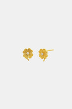 Sophie - Love Lily Studs, Gold
