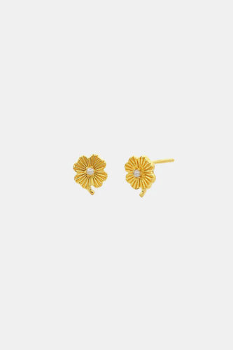 Sophie - Love Lily Studs, Gold