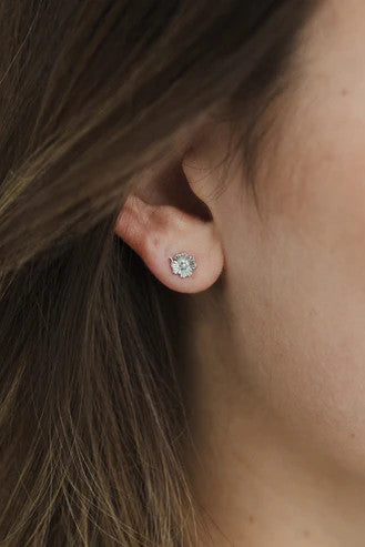 Sophie - Love Lily Studs, Silver