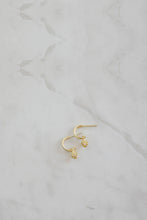 Sophie - She Shell Hoop Studs, Gold