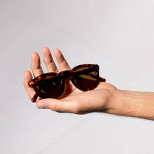 Status Anxiety - Detached Sunglasses, Brown Tort