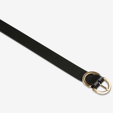 Status Anxiety - In Reverse Belt, Black/Gold