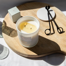 Palm Beach - Standard Candle, Clove & Sandalwood