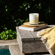 Palm Beach - Standard Candle, Coconut & Lime