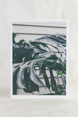 Crushes - Greeting Card, Urban Jungle