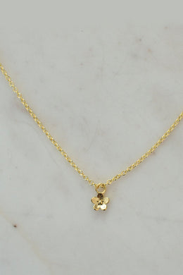 Sophie - Daisy Day Necklace, Gold