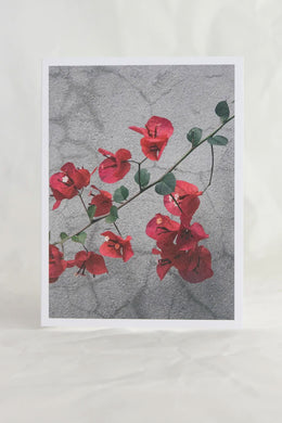 Crushes - Greeting Card, Scarlet Wall